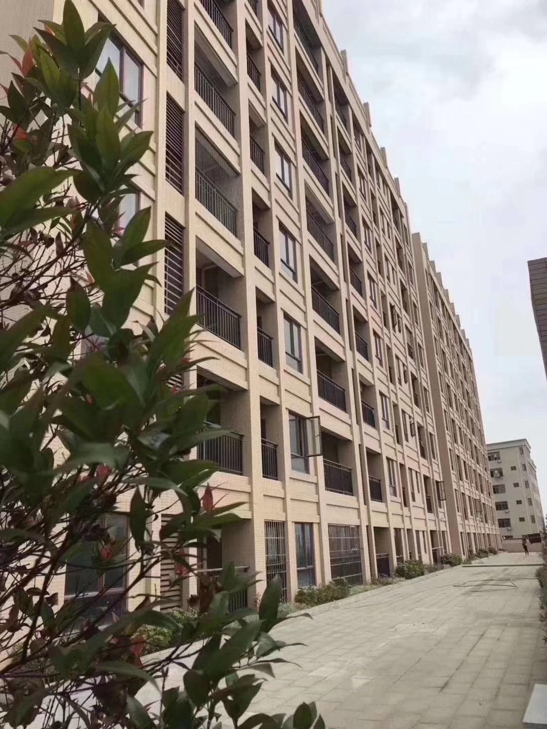 東莞沙田小產權房樓盤新城花園低價出售4580元/㎡