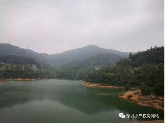 56.8萬入手龍華山水綠園村委統(tǒng)建樓，還在等什么？