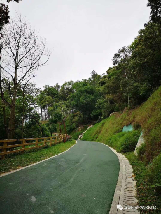 山水綠園一房一廳56.8萬/套起