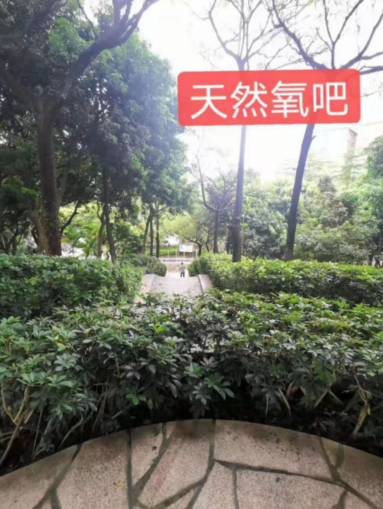 金光華府名校零距離，盡享綠色生態