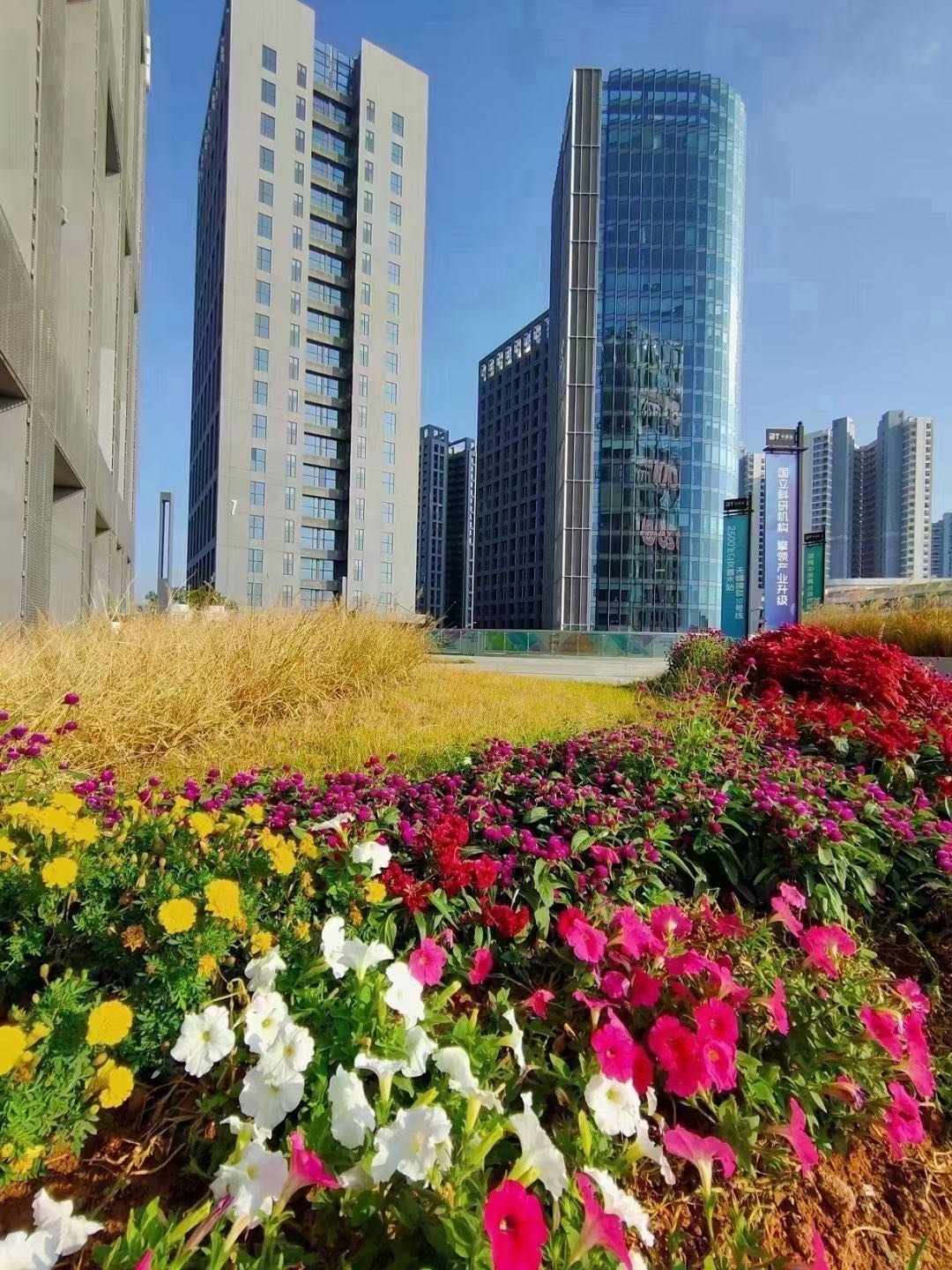 平湖山水田苑-首付40萬(wàn)起