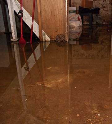 劉女士發現衛生間外的墻壁慢慢發潮