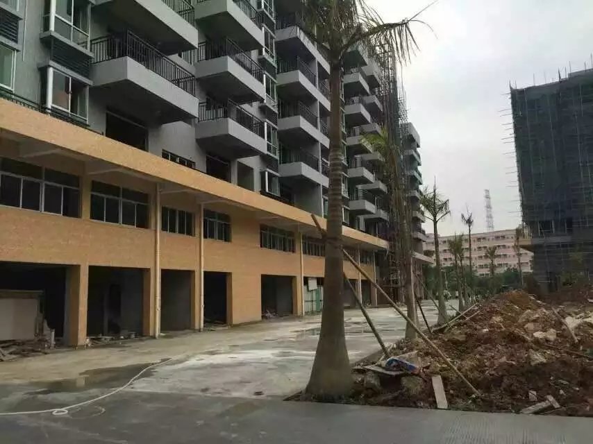 沙井老街片區(qū)也是小產權房集中的區(qū)域