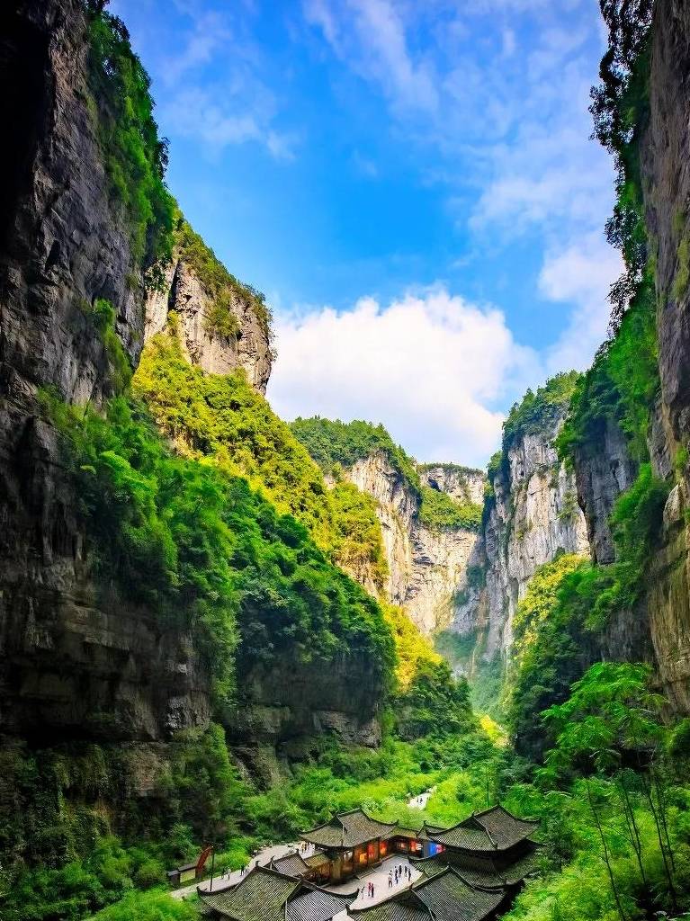 也許深秋的銀杏沒(méi)有梧桐一葉知秋的蕭索