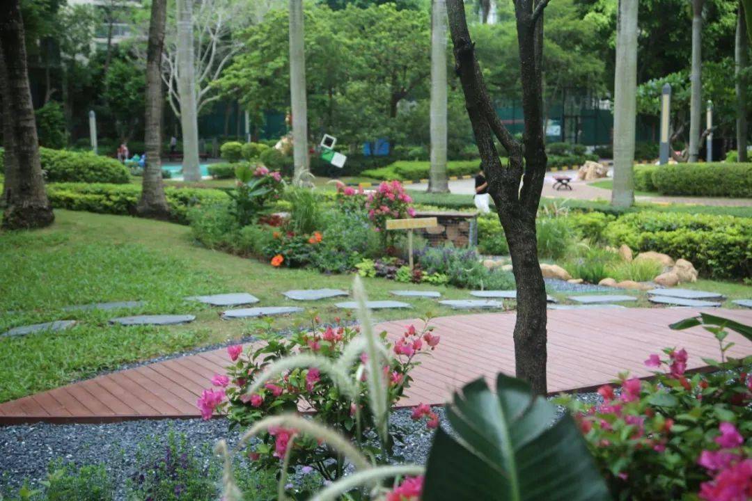 深圳每個(gè)區(qū)域的小產(chǎn)權(quán)房價(jià)格是多少