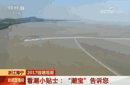 涌璘府成當年杭州樓市的大贏家